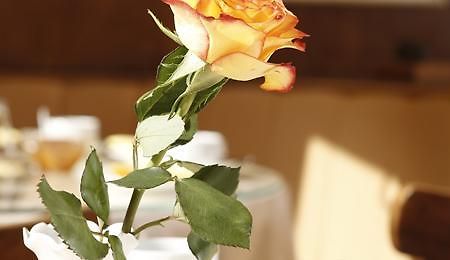 Hotel Pacific 함브루크 외부 사진